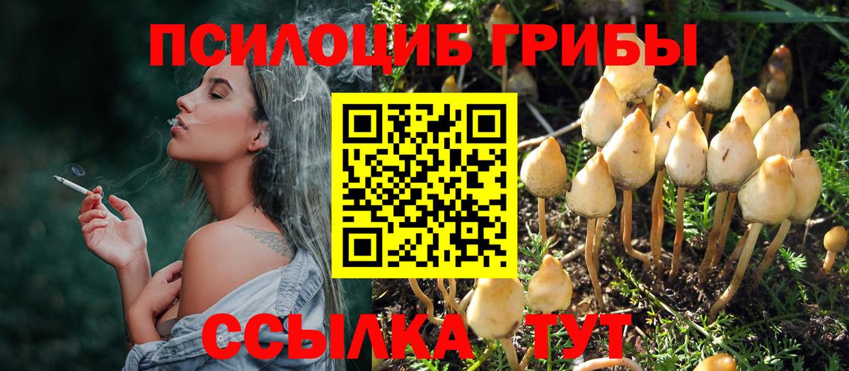 Протвино  Псилоцибиновые грибы Magic Shrooms  Вход с VPN 